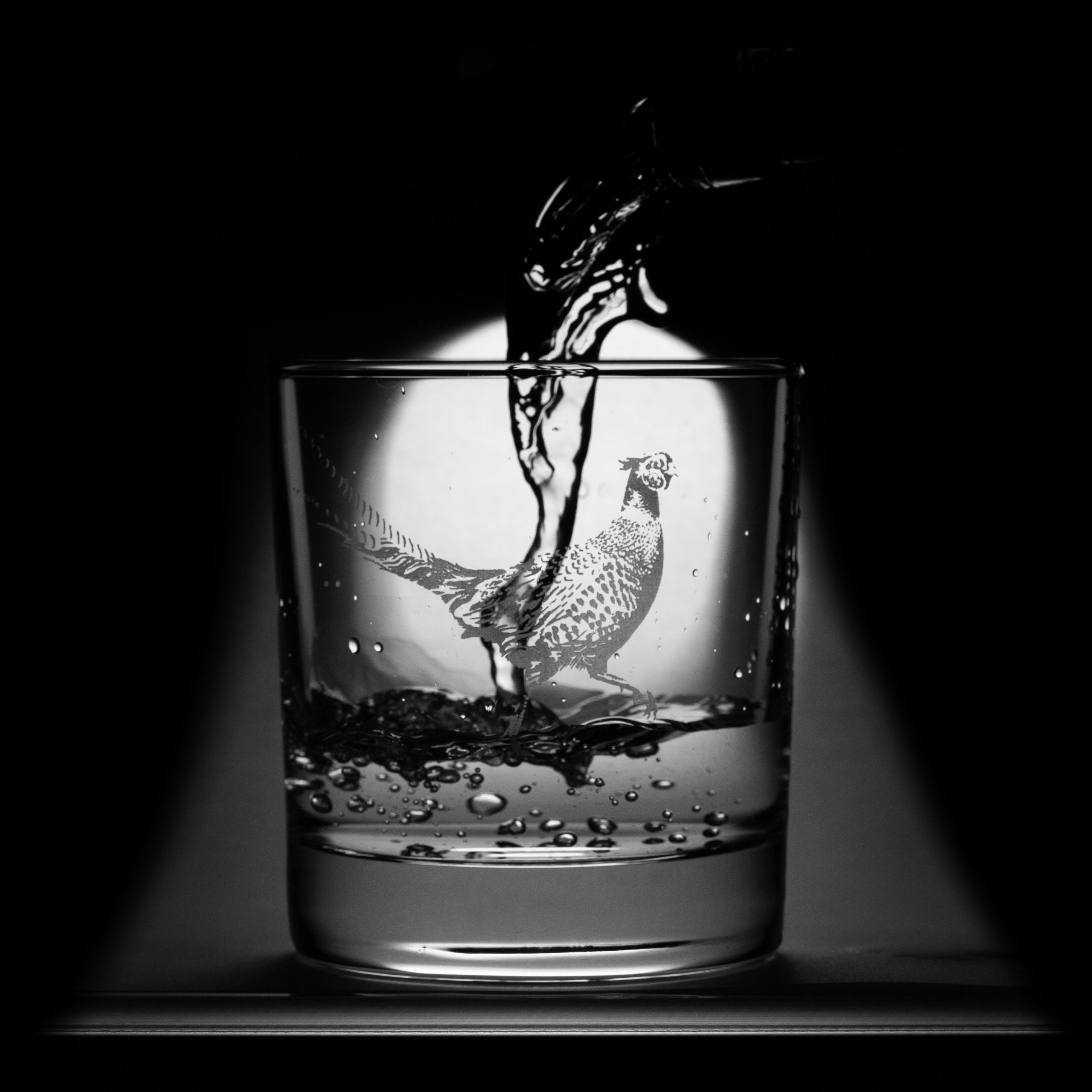 Still life frozen movement photography example